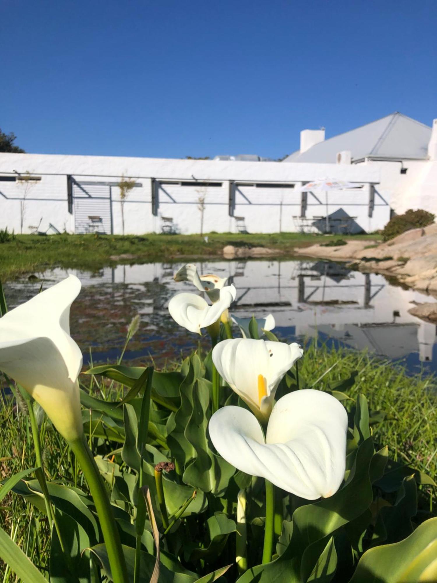 !Khwa Ttu Bed and Breakfast Swartwater Buitenkant foto