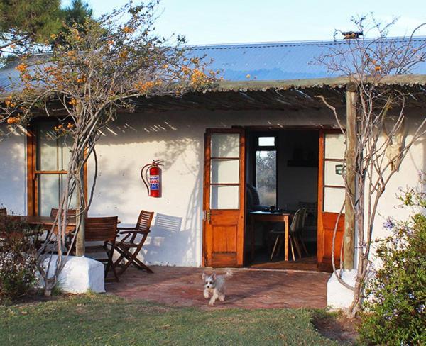 !Khwa Ttu Bed and Breakfast Swartwater Buitenkant foto